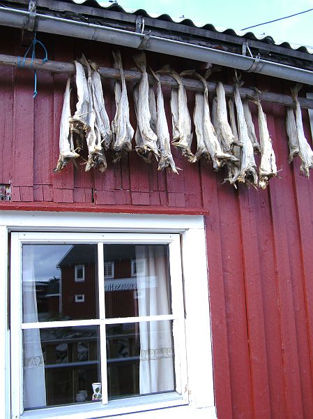 Nordkap 2009 334.jpg